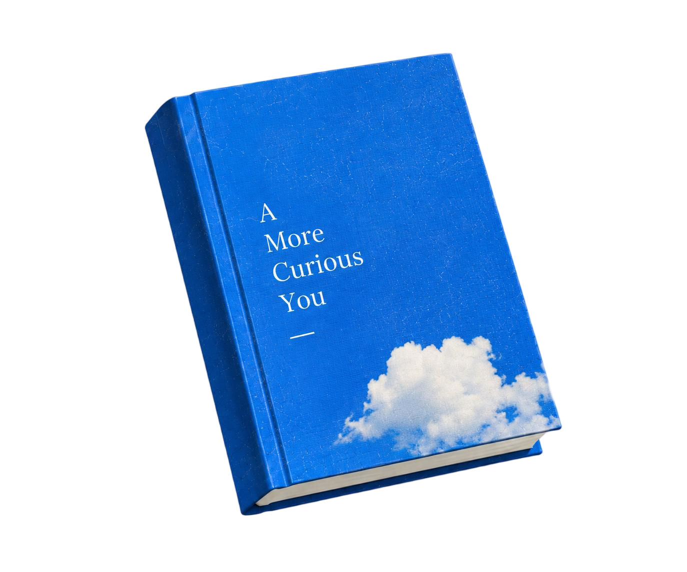 A More Curious You